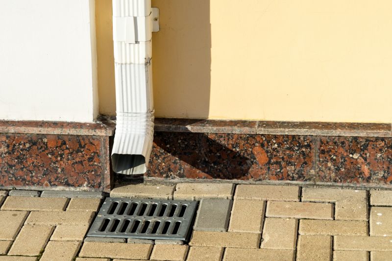 Gutter and Downspout Cleaning