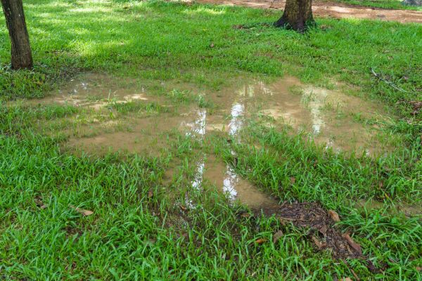 Storm Water Drainage Service in Englewood