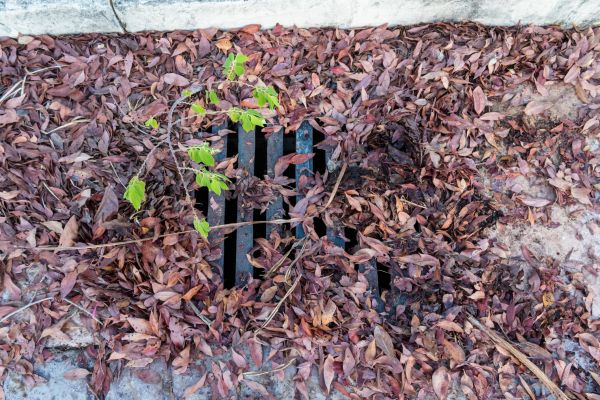 Yard Drain Unclogging in Englewood