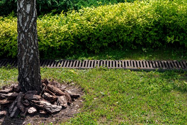 Wet Yard Drainage in Englewood