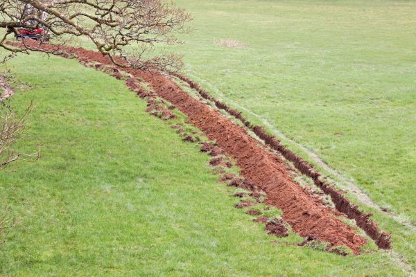 Cost of Swale Installation in Englewood