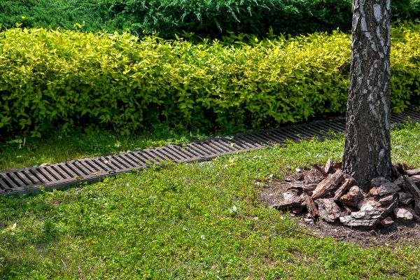 Residential Landscape Drainage in Englewood