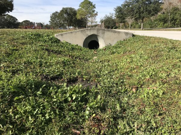 Cost of Swale Drainage Service in Englewood